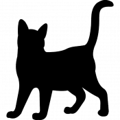 Mittens, a Black, Orange, Brown Domestic Shorthair Cat